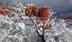 sedona webcam