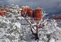 sedona webcam